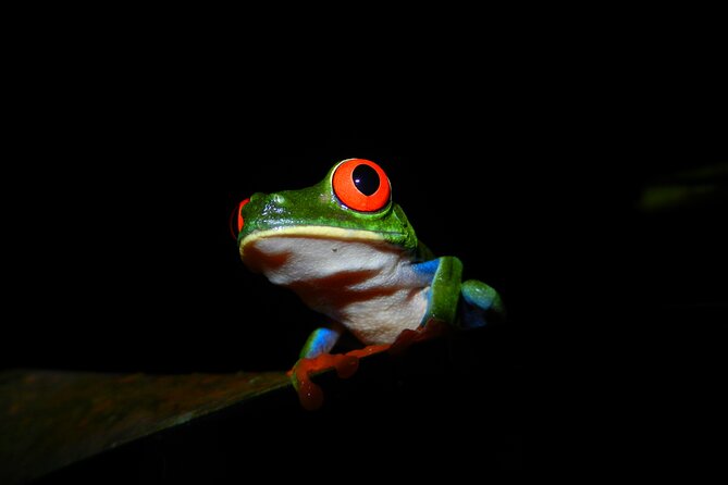 Ecocentro Danaus Guided Tours