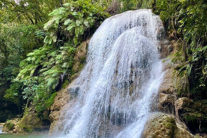 Ecolodge Overnight Experience El Limon Waterfalls, Samana, DR. - Good To Know