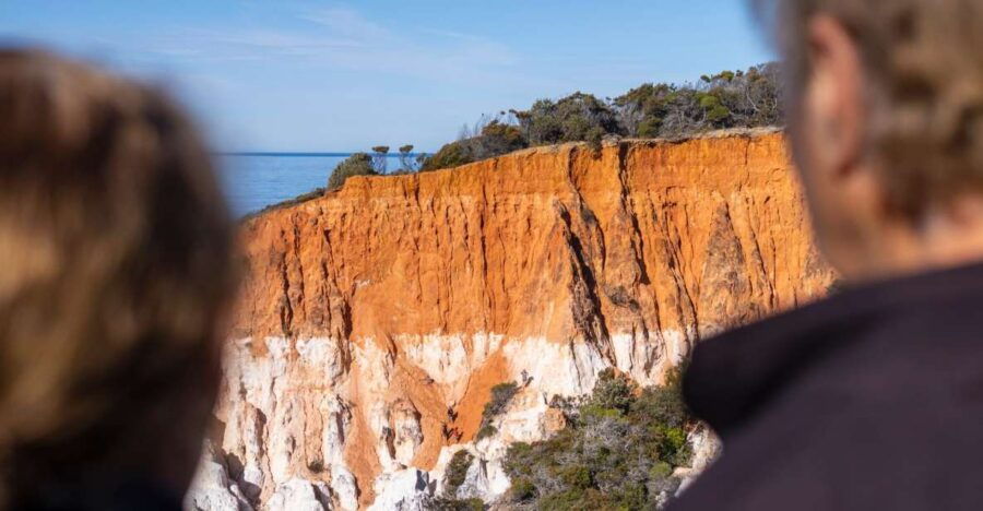 Eden: 2 Hour Highlights Tour, Nature, Beaches and Lookouts - Good To Know