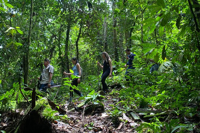 El Burrito Hike From La Fortuna (Feb )