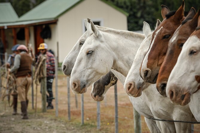 El Calafate, Argentina Patagonia Boat and Horseback Riding (Feb )