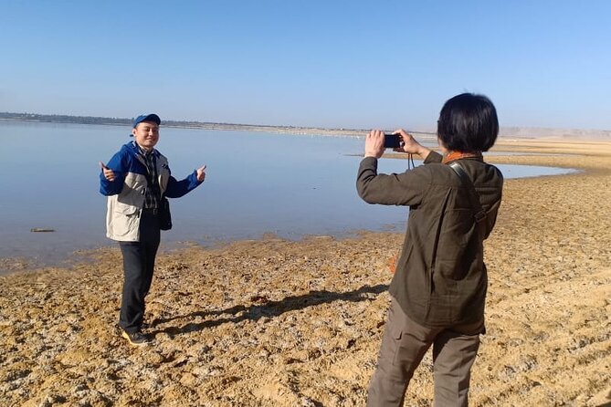 El Fayoum: Private Day Tour From Cairo (Feb ) - Good To Know