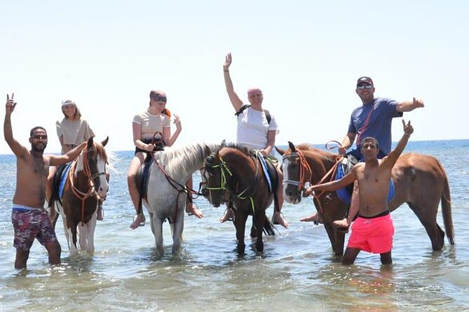 El Gouna Horse Ride Tour - Visual Content for El Gouna Horse Ride Tour