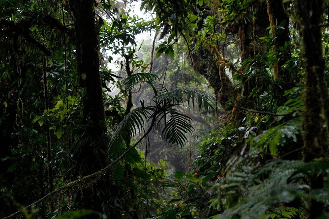 El Tigre Waterfalls Hiking Tour With Lunch and Nature Guide - Good To Know