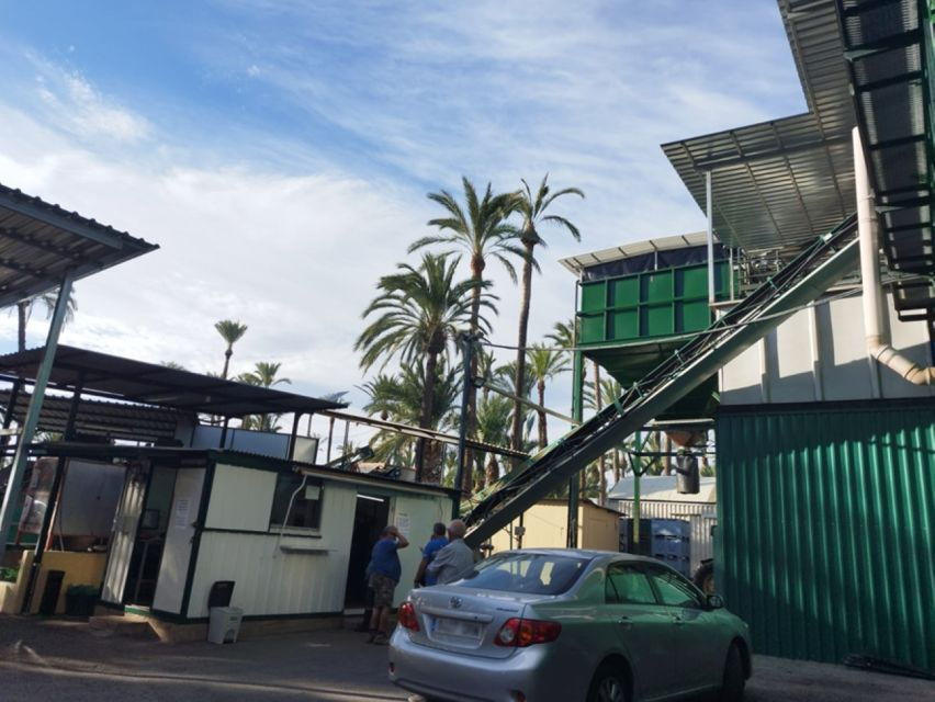 Elche: Camp D’Elx Route