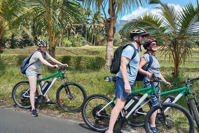 Electric Bicycle Tour in Jatiluwih UNESCO Site - Good To Know