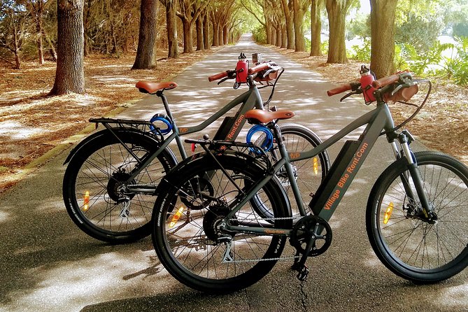 Electric Bike Rentals in the Villages Florida With Delivery - Good To Know