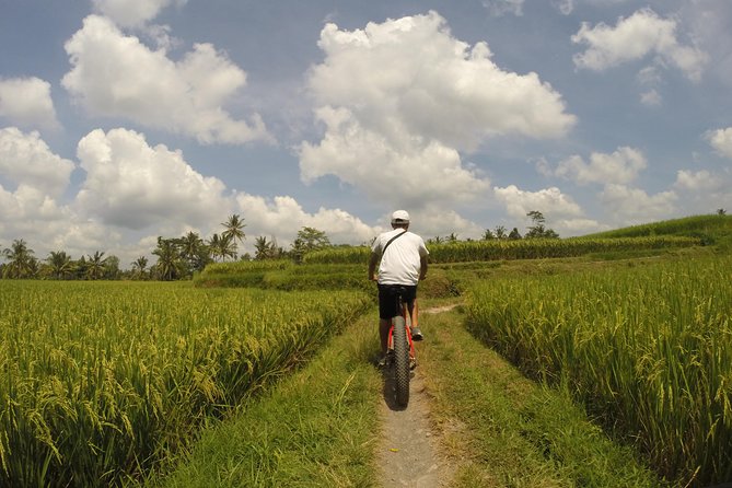 Electric Bike Tour in Ubud - Good To Know
