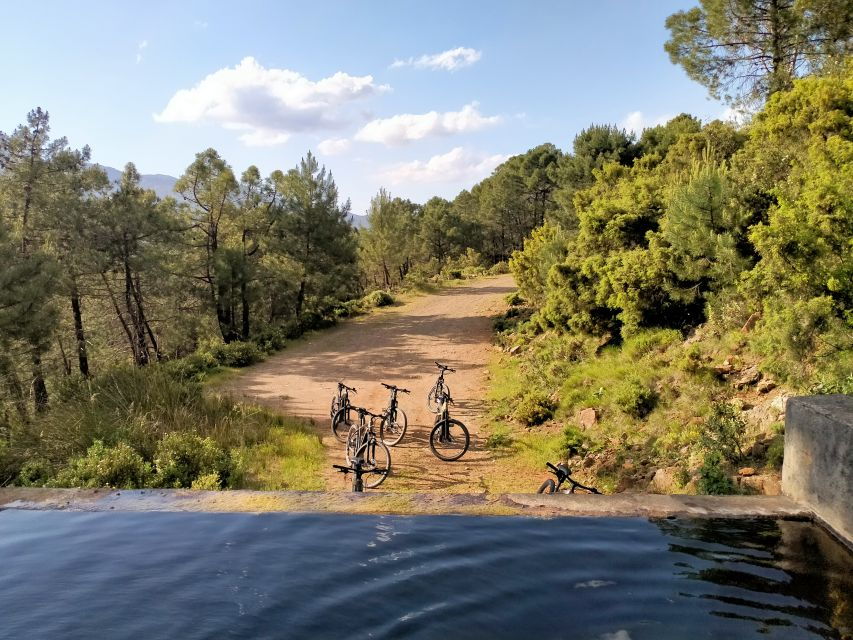 Electric Mountain Bike in Sierra De Las Nieves National Park - Good To Know