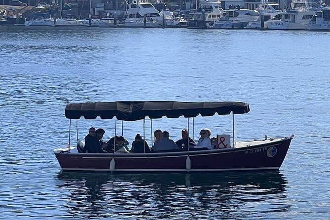 Electric Picnic Boat Rental in Newport Harbor for 8 Passengers - Good To Know