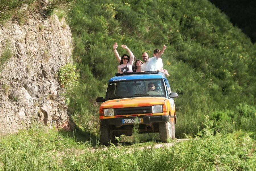 Enchanting Fanal Forest and Volcanic Pools, Unspoiled Wonder - Good To Know