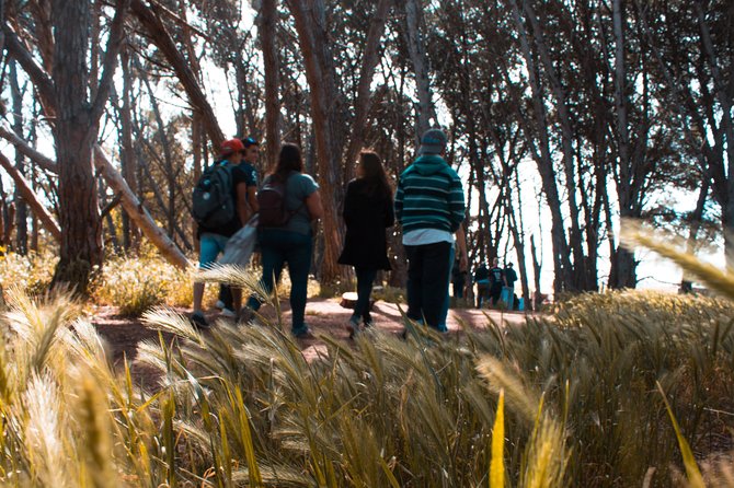 Energy Forest Experience - Location and Meeting Points