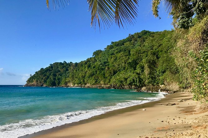 Englishmans Bay Day Trip With Lunch - Destination Overview