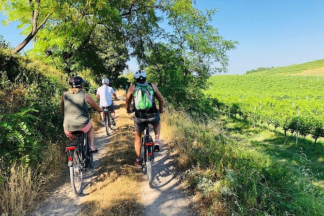 Enjoy a Wine Tasting After a Cycling Excursion in the Magic of Tuscany - Good To Know