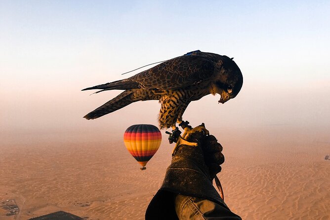 Enjoy Amazing Desert of Dubai By Hot Air Balloon With Falcon Show and Camel