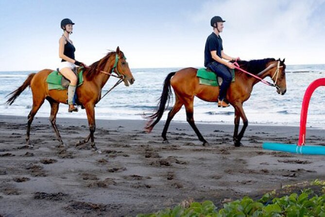 Enjoy Bali Horse Riding on the Beach Including Volcano and Ubud Tour - Good To Know