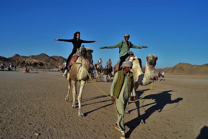 Enjoy With 1 - Hour Camel Ride With Transportation in Hurghada - Good To Know