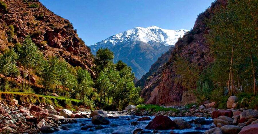 Enjoying Ourika Valley & Waterfalls With Guided Walk