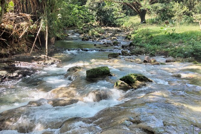 Escape to Nature at Benta River Falls From Montego Bay - Pricing and Group Size Details