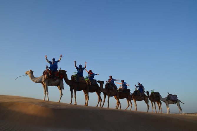 Essaouira: 1/2 Day Camel Ride With Meal.