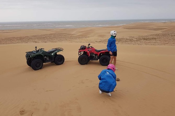 Essaouira: 2h/Quad1h/Camel Ride Minimum 2 People