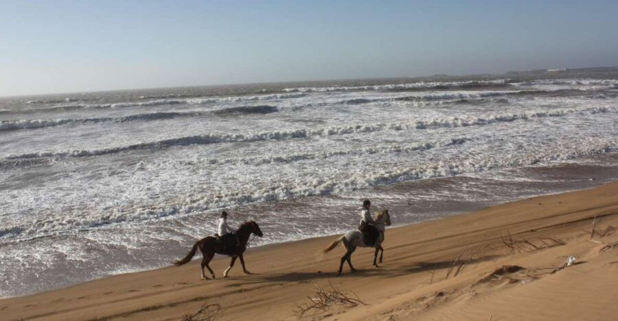 Essaouira: 3-Hour Horseback Ride