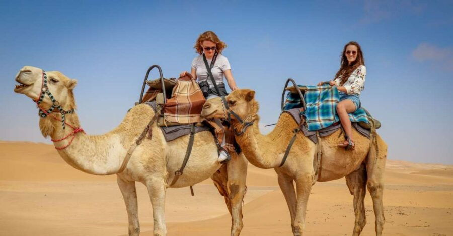 Essaouira: Camel Trek for 2 Hours