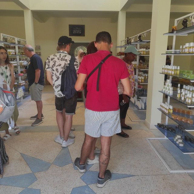 Essaouira Coastal City Discovery Day Tour From Marrakech: