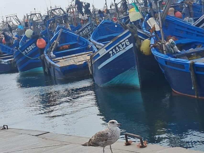 Essaouira Day Trip