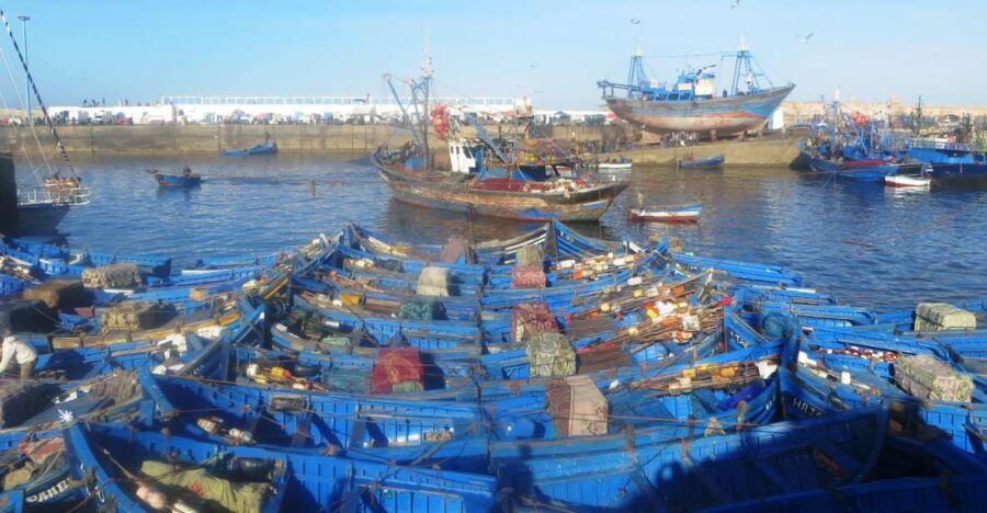 Essaouira Day Trip From Agadir - Good To Know