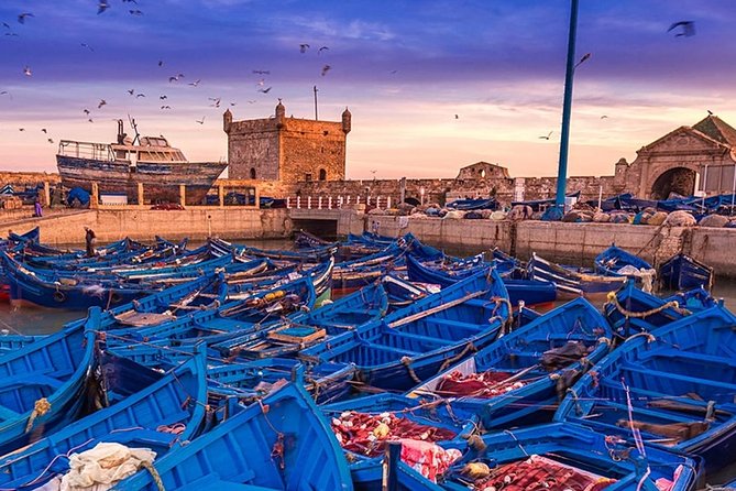 Essaouira – Every Surfer’s Dream (private)