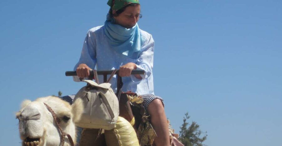 Essaouira: Guided 2h Dromedary Riding With Sunset - Good To Know