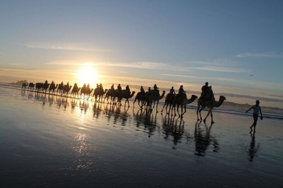 Essaouira: Guided Quad Bike Tour and Camel Ride - Good To Know