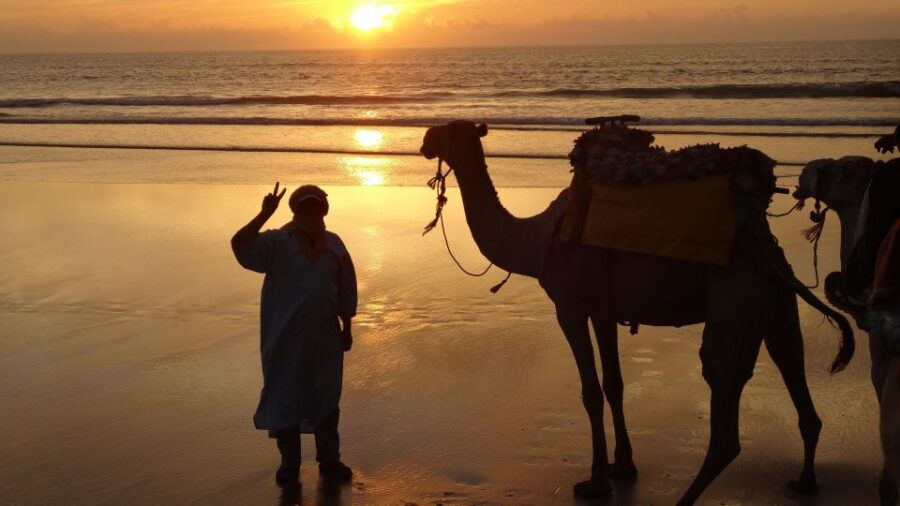 Essaouira: One Hour Dromedary Ride