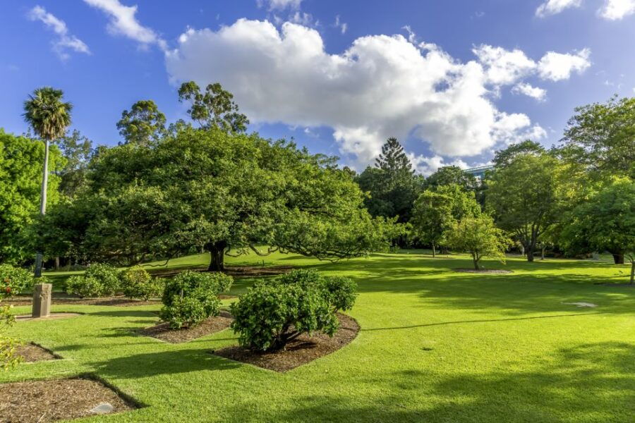 Essential Brisbane: City Walking Tour - Tour Overview