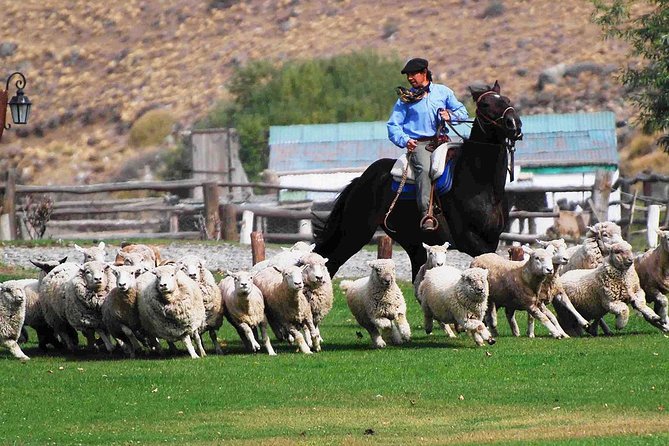 Estancia 25 De Mayo: Rural Living Experience Highlight