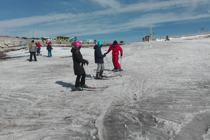 Estrela Mountain, Cheses, Wines and Olive Oils, Full-Day From Coimbra - Overview of Estrela Mountain Excursion