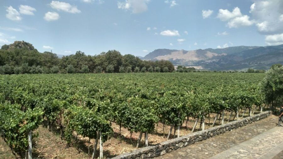 Etna: Wine Tasting and Food Tour - Good To Know