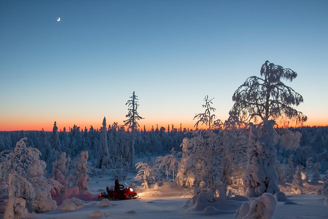 Evening Escape - Snowmobile Safari and Campfire in Rovaniemi - Good To Know