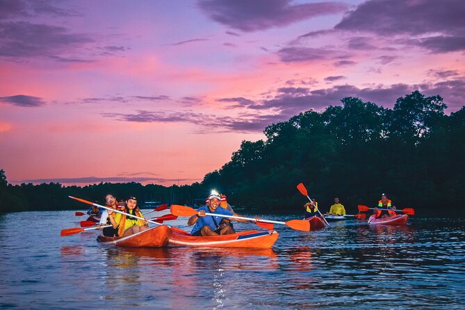 Evening Mangrove Canoe Tour With Dinner - Good To Know