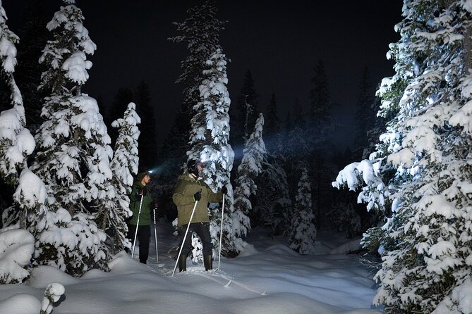 Evening Ski Trek to the Wilderness - Good To Know