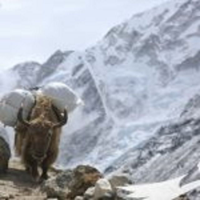 Everest Base Camp