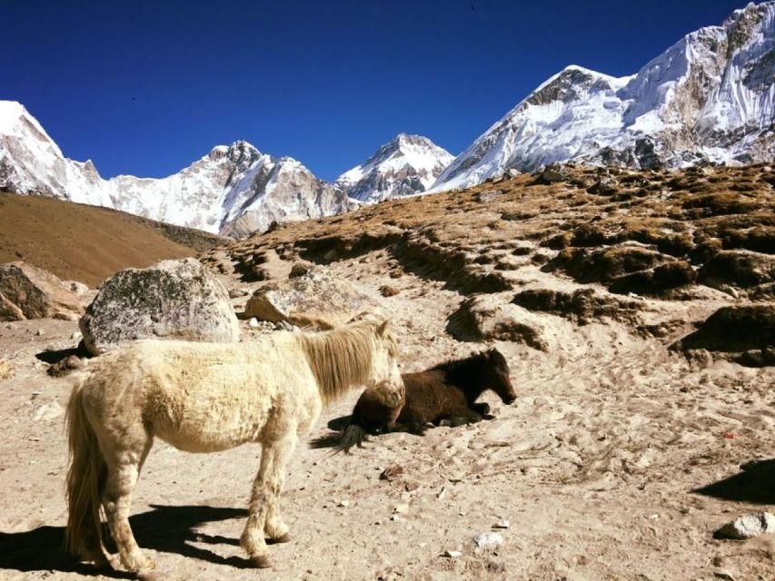 Everest Base Camp Trek Kala Patthar Trek - 13 Days - Good To Know