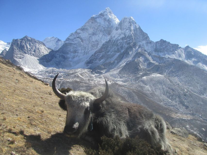 Everest Base Camp Trek Package