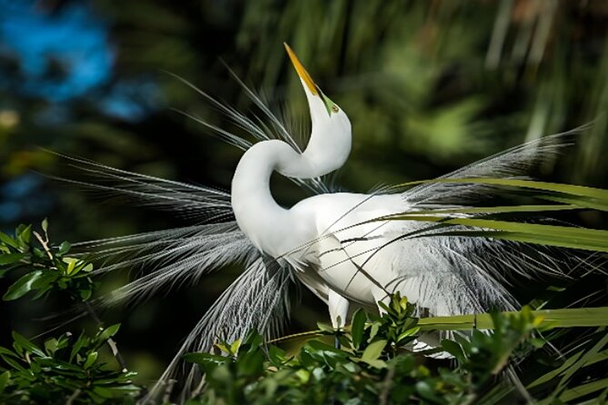 Everglades Immersion Tour: The Ultimate Everglades Adventure - Good To Know