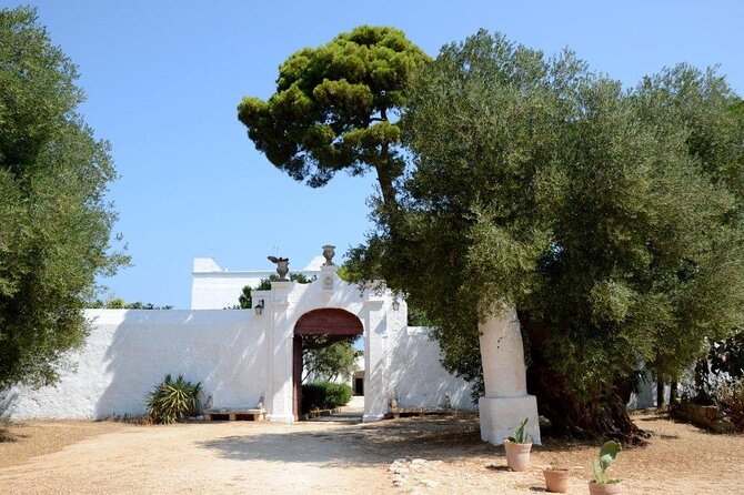EVO Oil Tasting at a Masseria in Ostuni - Good To Know