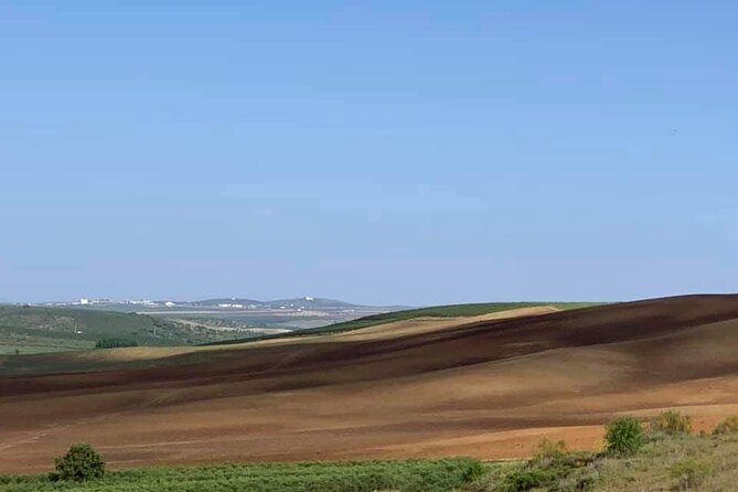 Evora & Arraiolos Tour - Good To Know