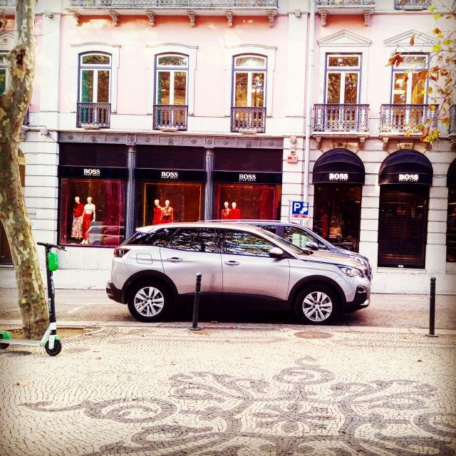 Évora Town and the Olive Oil, Wine, and Cork Triangle - Good To Know