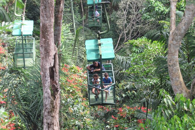 Exciting Rainforest Adventure: Aerial Tram & Sloths