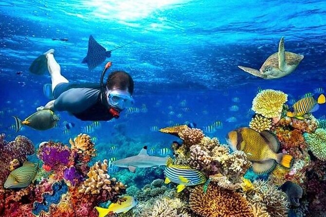 Exciting Roatan Shore Adventure Awaits You